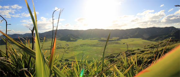 Neuseeland Aussicht